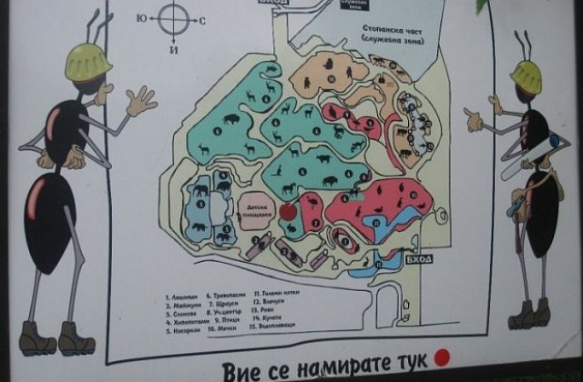Предстои основна реконструкция на зоопарка в София