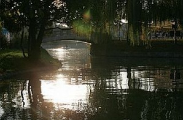 Разпитани са 17 души за убийството в Борисовата градина