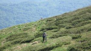 Узана Поляна Фест започва