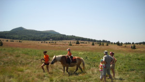 Жълт код за Габрово