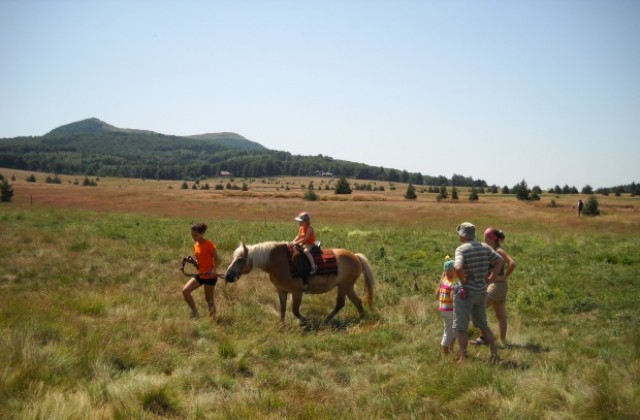 Жълт код за Габрово