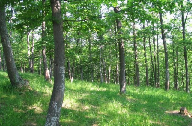 Министър Караджова се ангажира с разрешаване на проблема със сечта на Узана