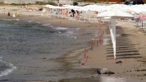 Над 600 кг храни по морските курорти бракува Агенцията по