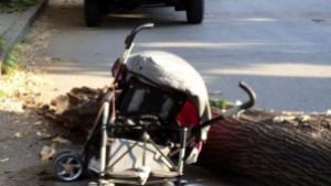 Изписано е момиченцето върху което падна отчупен клон