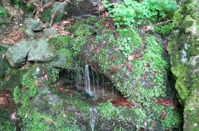 Слънчево и топло