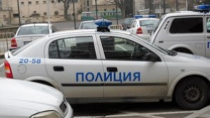 Полицейски автомобил се блъсна в кон