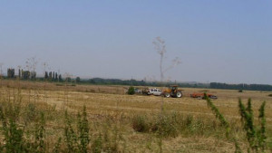 50 декара жито изгоряха край Плевен