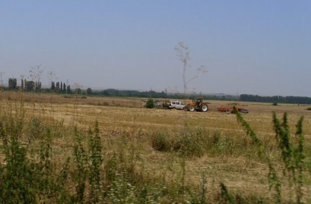 50 декара жито изгоряха край Плевен