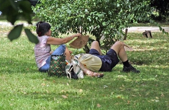 Без температурен рекорд въпреки адската жега