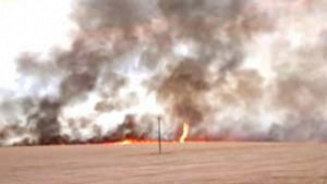 Отново пожар в житна нива заради неизправен комбайн