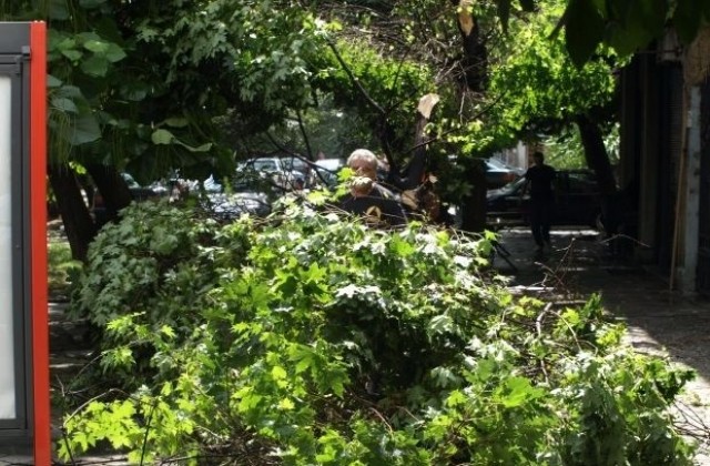 Ликвидират последиците от бурята в Кнежа