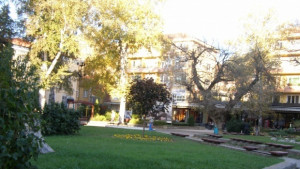 Планинско автомобилно състезание Узана 2011