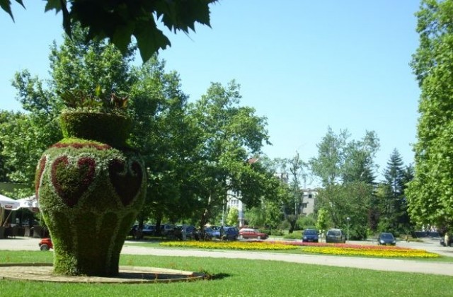 В края на месеца започва борбата с комарите