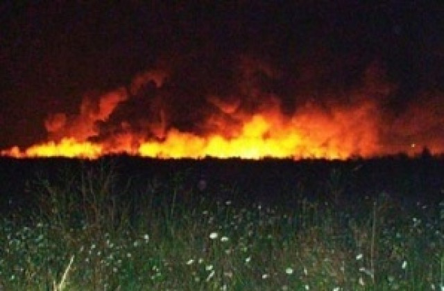 Изгоряха 200 декара с жито