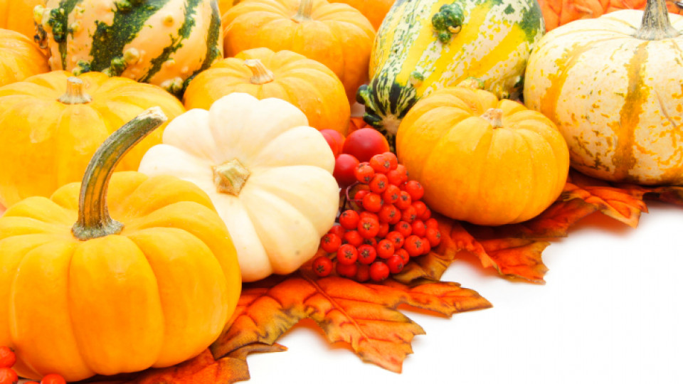 Суперхраните на есента