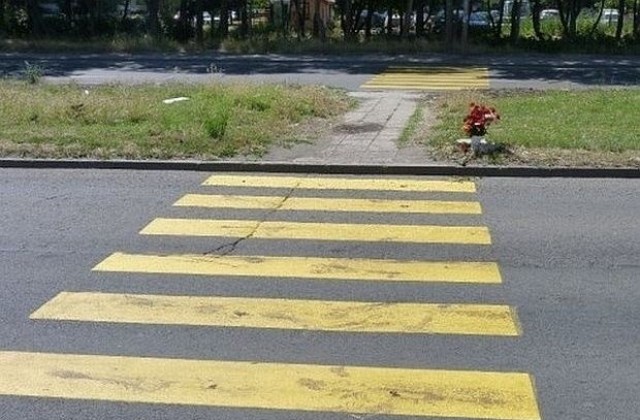 Пътека от рози срещу войната по пътищата и в Стара Загора