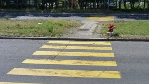 Пътека от рози срещу войната по пътищата