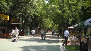 Потрошиха кашпите по ул Христо Ботев камерите запечатали силуетите на