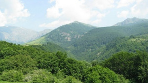 Отново слънце