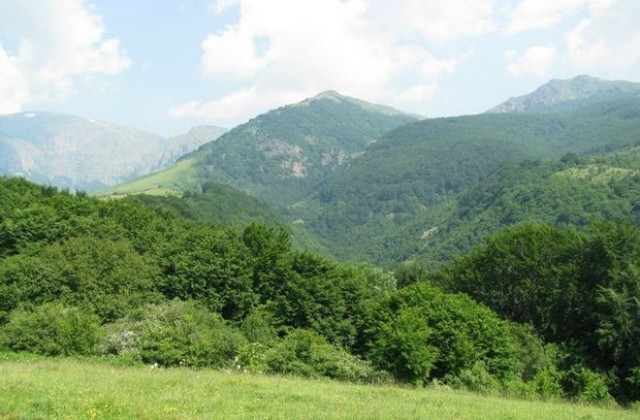 Отново слънце