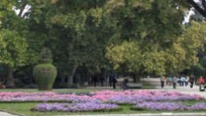 Започва борбата с комарите