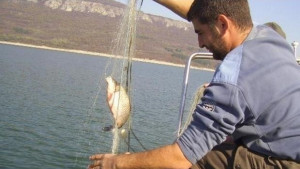 500 метра бракониерски мрежи са иззети от яз Александър Стамболийски