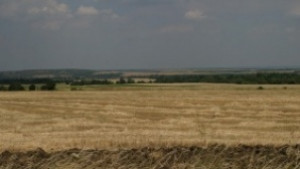 Конкурс за най добър жътвар