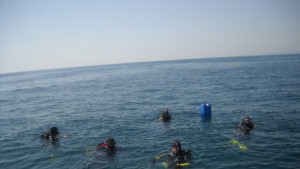 Самолетът на Тато вече е световна атракция догодина потапят нов