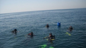 Самолетът на Тато вече е световна атракция Потапят нов обект