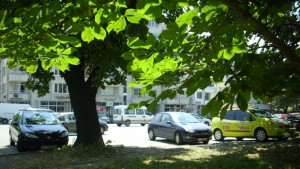 Приемат заявления за безплатни карти за паркиране на хора с