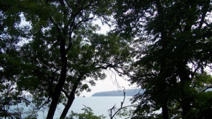 Община Варна ще стопанисва Морската градина