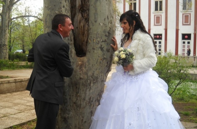 Сватби на открито - до 22.00 ч.