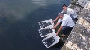 Зарибиха Водното огледало в Кърджали