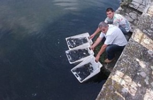 Зарибиха Водното огледало в Кърджали