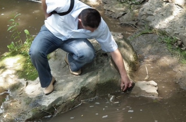 Севлиевският депутат Иван Иванов се зае с разрешаване на екологичен проблем