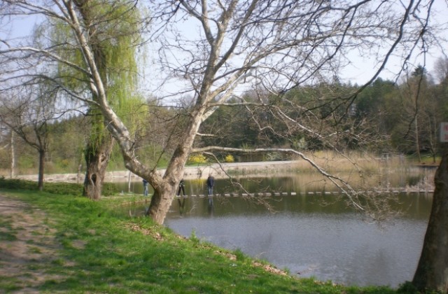 Празник на Текето