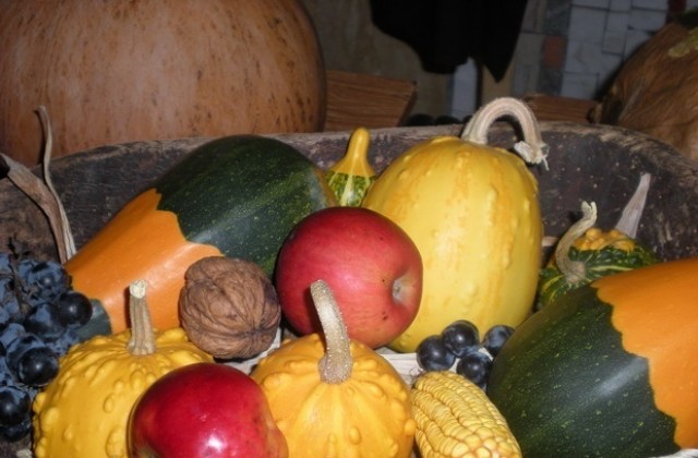 Подписват днес проекта „Добре дошли в Севлиево-столицата на тиквата.