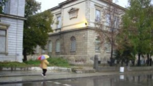 Очакваният дъжд спасява временно комарите