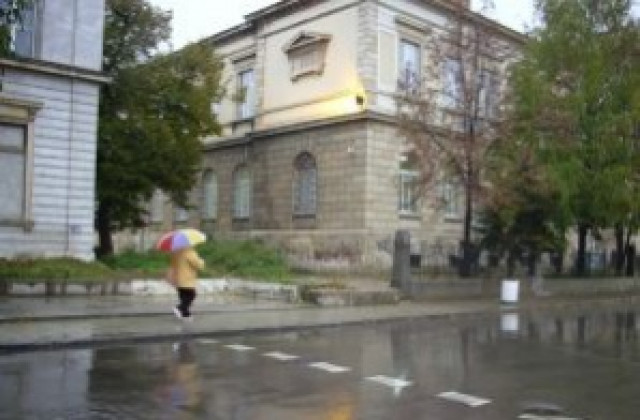 Очакваният дъжд спасява временно комарите