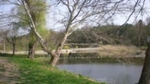 12 акта за незаконен риболов на езерото Липник