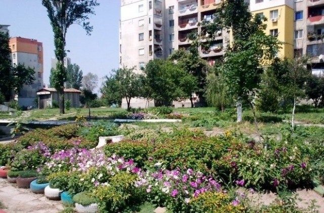 Награждават майстори градинари