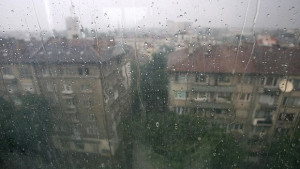 Валежи