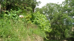 От днес ловът е разрешен