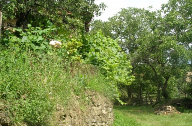 От днес ловът е разрешен