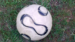 Янтра Габрово среща днес футболистите от Трявна