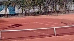 Живко Жеков спечели откритото първенство на Габрово по тенис на