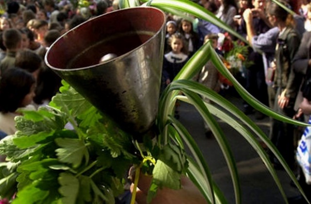 Ново училище отваря врати във Враца