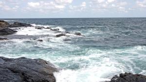 Провериха 296 обекти в морските курорти