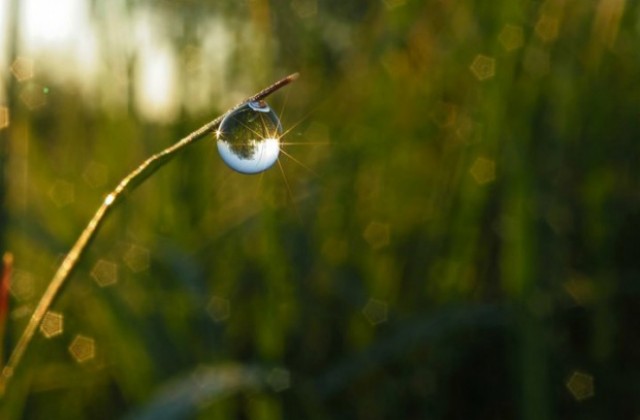 Децата и природата