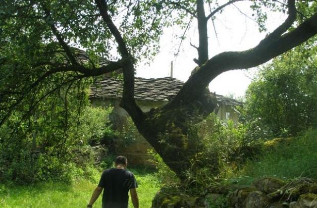 Предимно слънчево